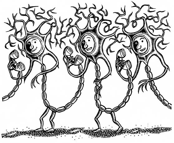 Welcome to your Brain: Neurons (This is a sort of silly drawing to show the basic shape of the neuron, and how signals travel from one end to the other (as though they had telephone tails!).
