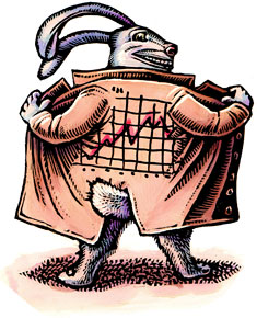 Bunny with chart on back of raincoat