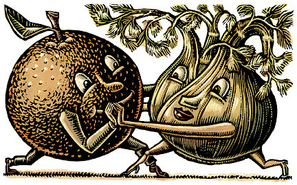 "Fennel might look like celery, but its flavor is licorice and anise. Combined with the richly sweet taste of orange, it makes a savory sauce that complements any meat, from fish to pork..."  I did this illustration a while ago, but I'd enjoy doing more of these cute food illos, so I always include it in my portfolio.