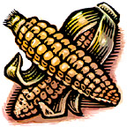 corn